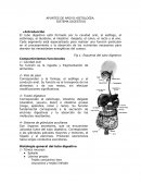 APUNTES DE APOYO HISTOLOGÍA: SISTEMA DIGESTIVO