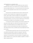 Asentamientos en la ciudad del cusco.