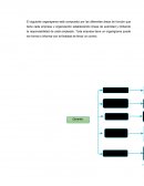 Organigrama proceso administrativo.