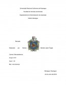 La compañía cervecera de Nicaragua, S.A.