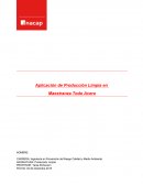 Acuerdo de producción limpia.