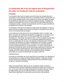 Combustio In-Situ pruebas de tubo.