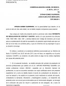 INCIDENTE DE LIQUIDACION DE COSTAS Y GASTOS