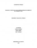 VIGILANCIA Y CONTROL DE LOS FACTORES DE RIESGO DEL AMBIENTE Y DEL CONSUMO 1132517