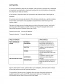 Atencion y iluminacion en un puesto de trabajo.