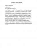 PRACTICA DE CIENCIA Y FILOSOFÍA