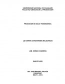 PRODUCION DE SOJA TRANSGENICA