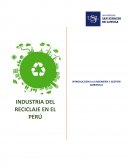 INDUSTRIA DEL RECICLAJE EN EL PERÚ