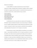 Es_rentable_la_diversificacion