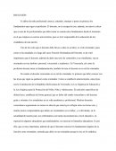 Es deber de todo profesional conocer, entender, manejar y poner en práctica los fundamentos que rigen su profesión.