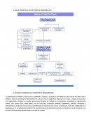 MAPA CONCEPTUAL CON EL TEMA DE ORGANIZACION [pic 1]