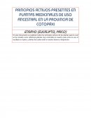 PRINCIPIOS ACTIVOS PRESENTES EN PLANTAS MEDICINALES DE USO ANCESTRAL EN LA PROVINCIA DE COTOPAXI