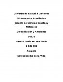 La agricultura se basa en el cultivo y explotación de la tierra con el fin de obtener productos para consumo.