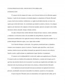 Etapas procesales juicio ejecutivo mercantil.