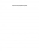 TRABAJOS PRACTICOS DE MICROECONOMIA