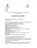 Guion de plenaria de trabajo social.