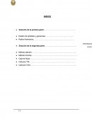 Monografia economia 2015