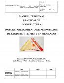 BPM PARA LA ELABORACION DE TRIPLES.