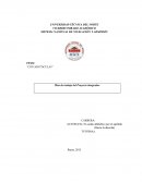 Formulación del problema de investigación sobre la elaboración de una alarma antirrobo