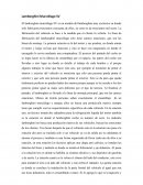 Lamborghini Murciélago SV