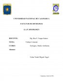 Trabajo Comunal - Ecologia y Medio Ambiente