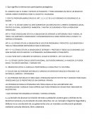 Que significa la democracia participativa protagónica.