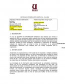 SYLLABUS SISTEMAS DE INFORMACIÓN GERENCIAL