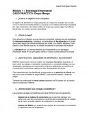 CASO PRÁCTICO: Grupo Mango