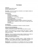 Pyrrophyta.- Se trata de organismos unicelulares con dos flagelos ubicados en forma perpendicular uno de otro.
