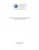 Creacion de un centro de rescate para cannes abandonados/maltratados