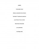 Diseño y evaluación de curriculum.