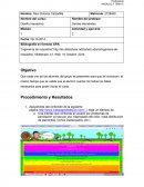 Diseño interactivo.