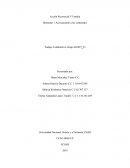 Trabajo colaborativo 1 accion psicosocial y familia