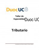 Taller de Especialidad