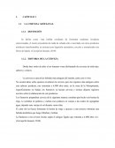 LA CERVEZA ARTESANAL