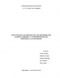 EFECTOS DE LAS DROGAS EN LOS SISTEMAS DEL CUERPO HUMANO Y LA REINSERCION DEL INDIVIDUO A LA SOCIEDAD.. Página 1