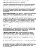 Derecho constitucional.