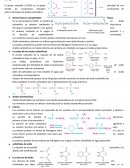 Nomenclatura quìmica y propiedades físicas.