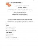 EFECtOS DEL DENMENO INFLACIONARIO.