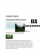 CLIMA EQUATORIAL:LA SELVA