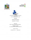 Racionalidad y felicidad: el dilema de la organización