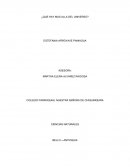 Investigacion preventiva.