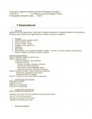Guia de Patologia Quirurgica Dr.Felipe de Jesus Dominguez Chavez.