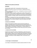 ANIMALES EN PELIGRO DE EXTINCIÓN.