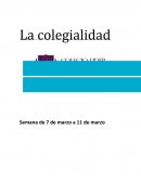 La colegialidad