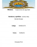 Inspecciones de seguridad.