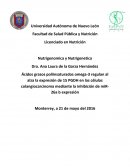 Ácidos grasos poliinsaturados omega-3