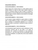 ANÁLISIS MEDIO AMBIENTAL