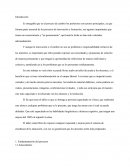 Programa educativo inteligente.