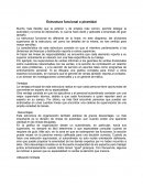 Mucho más flexible que la anterior y de empleo más común, permite delegar la autoridad y la toma de decisiones, lo cual la hace dúctil y aplicable a empresas de gran tamaño.